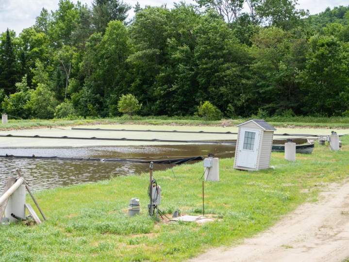 Une eau propre retournée à la nature